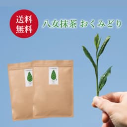 Yame Okumidori